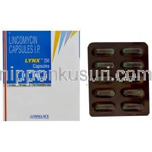 リンコマイシン (リンコシン ジェネリック)